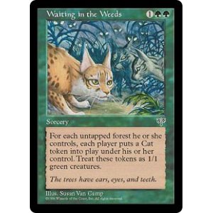 画像: 【ENG/MIR】草陰の待ち伏せ/Waiting in the Weeds