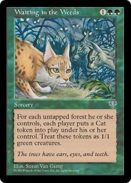 画像1: 【ENG/MIR】草陰の待ち伏せ/Waiting in the Weeds (1)