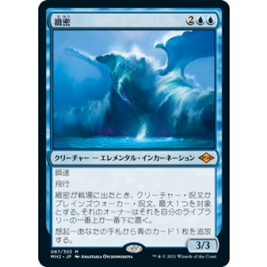 画像: 【JPN/MH2】緻密/Subtlety