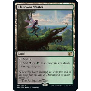 画像: 【ENG/BRO】ラノワールの荒原/Llanowar Wastes [土地] 『R』