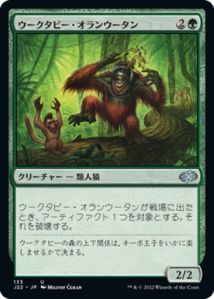 画像1: 【JPN/J22】ウークタビー・オランウータン/Uktabi Orangutan (1)