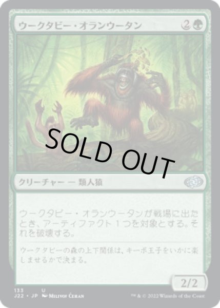 画像1: 【JPN/J22】ウークタビー・オランウータン/Uktabi Orangutan (1)