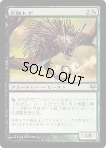 画像1: 【JPN/EVE】羽軸トゲ/Quillspike (1)