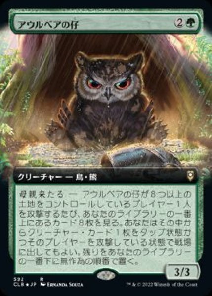 画像1: 【JPN/CLB-BF】アウルベアの仔/Owlbear Cub【拡張アート】 (1)