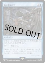 画像: 【JPN/LTR】風に運ばれて/Borne Upon a Wind