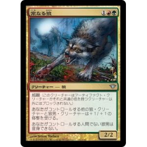 画像: 【JPN/DKA】常なる狼/Immerwolf