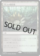 画像: 【JPN/CMM】下生えの競技場/Undergrowth Stadium