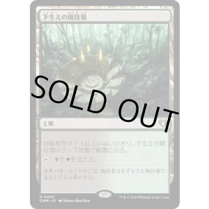 画像: 【JPN/CMM】下生えの競技場/Undergrowth Stadium