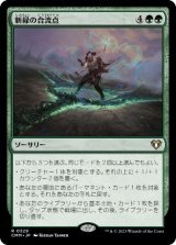 画像: 【JPN/CMM】新緑の合流点/Verdant Confluence