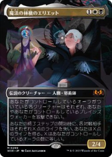 画像1: 【JPN/WOE-BF】魔法の林檎のエリエット/Eriette of the Charmed Apple [マルチ] 『M』【ボーダーレス】 (1)