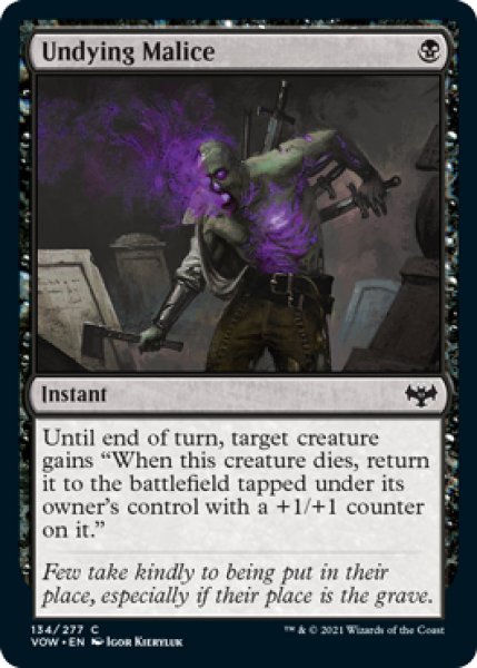 画像1: 【ENG/VOW】不死なる悪意/Undying Malice [黒] 『C』 (1)