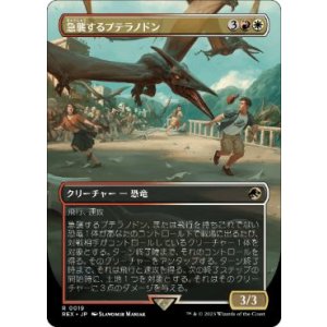 画像: 【JPN/REX】急襲するプテラノドン/Swooping Pteranodon [マルチ] 『R』