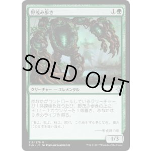 画像: 【JPN/XLN】野茂み歩き/Wildgrowth Walker
