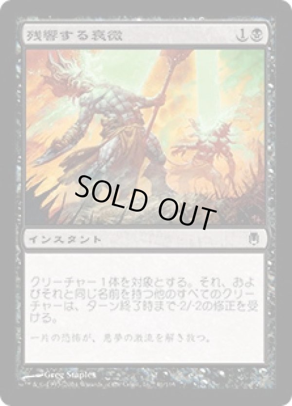 画像1: 【JPN/DST】残響する衰微/Echoing Decay