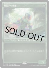 画像: 【JPN/LCI/PRM】陥没穴の偵察/Cenote Scout