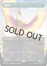 画像: 【JPN/RVR/FOIL★】極楽鳥/Birds of Paradise【ボーダーレス】