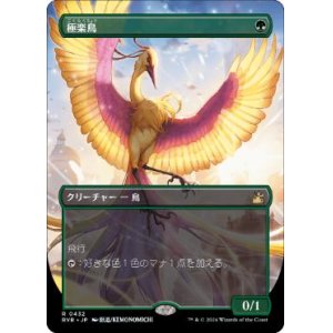 画像: 【JPN/RVR/FOIL★】極楽鳥/Birds of Paradise【ボーダーレス】