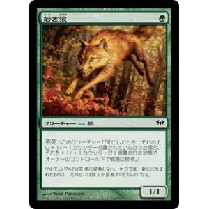 画像: 【JPN/DKA】若き狼/Young Wolf