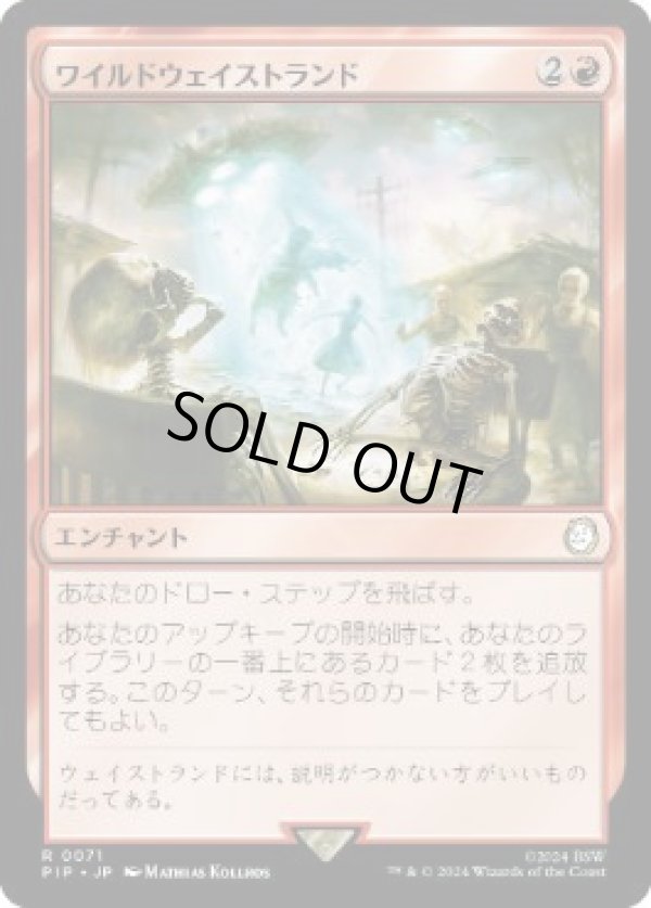 画像1: 【JPN/PIP】ワイルドウェイストランド/Wild Wasteland