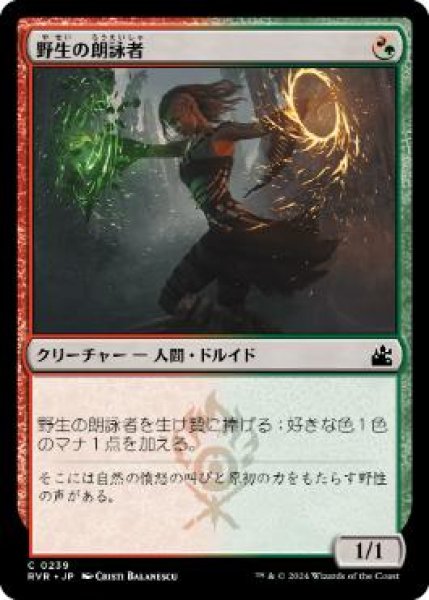 画像1: 【JPN/RVR】野生の朗詠者/Wild Cantor (1)