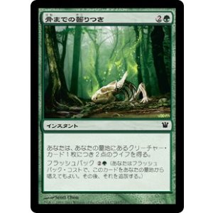 画像: 【JPN/The List】骨までの齧りつき/Gnaw to the Bone