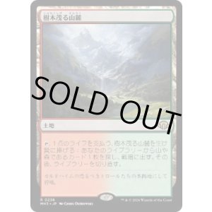画像: 【JPN/MH3】樹木茂る山麓/Wooded Foothills