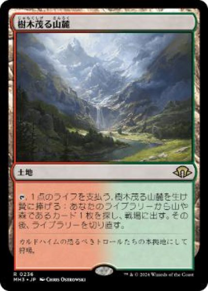 画像1: 【JPN/MH3/FOIL★】樹木茂る山麓/Wooded Foothills (1)