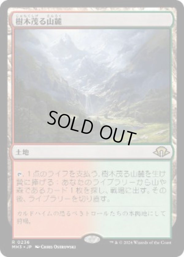画像1: 【JPN/MH3】樹木茂る山麓/Wooded Foothills