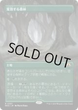 画像: 【JPN/MH3-BF】変容する森林/Shifting Woodland【ボーダーレス】