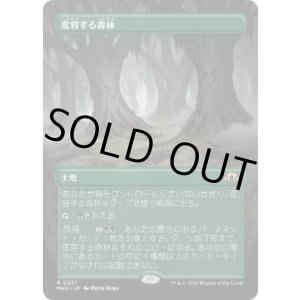 画像: 【JPN/MH3-BF】変容する森林/Shifting Woodland【ボーダーレス】