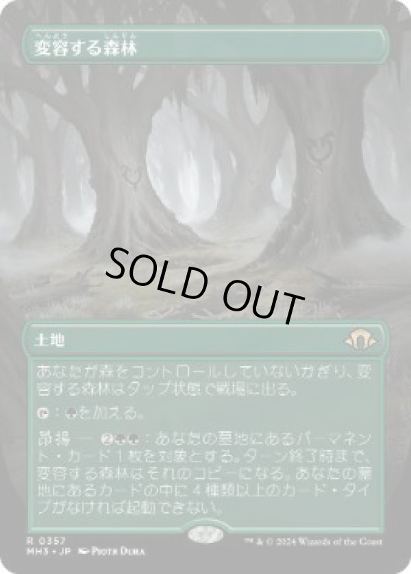 画像1: 【JPN/MH3-BF】変容する森林/Shifting Woodland【ボーダーレス】