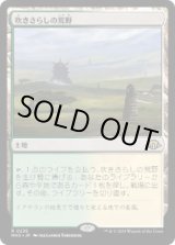画像: 【JPN/MH3】吹きさらしの荒野/Windswept Heath