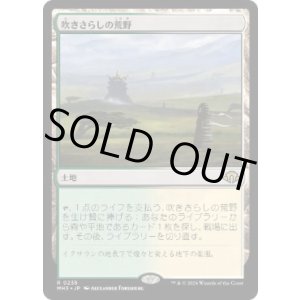 画像: 【JPN/MH3】吹きさらしの荒野/Windswept Heath