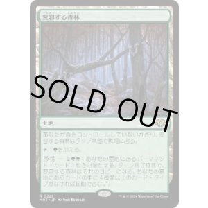 画像: 【JPN/MH3】変容する森林/Shifting Woodland