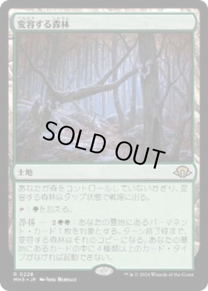 画像1: 【JPN/MH3】変容する森林/Shifting Woodland   (1)