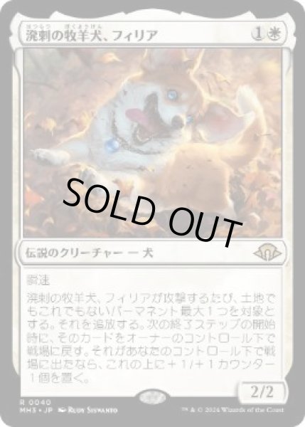 画像1: 【JPN/MH3】溌剌の牧羊犬、フィリア/Phelia, Exuberant Shepherd (1)
