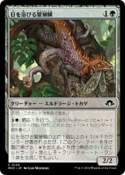 画像1: 【JPN/MH3】日を浴びる繁殖鱗/Basking Broodscale (1)