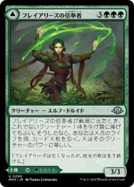 画像1: 【JPN/MH3/FOIL★】フレイアリーズの信奉者/Disciple of Freyalise (1)