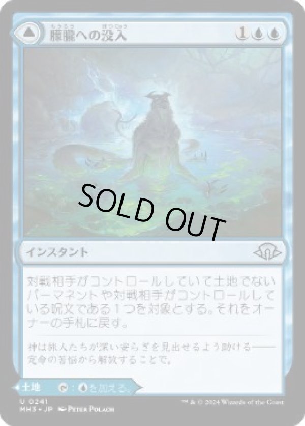 画像1: 【JPN/MH3】朦朧への没入/Sink into Stupor