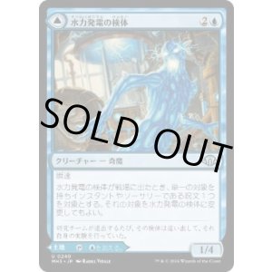 画像: 【JPN/MH3】水力発電の検体/Hydroelectric Specimen