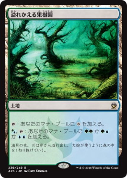 画像1: 【JPN/A25】溢れかえる果樹園/Flooded Grove (1)
