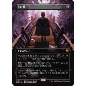画像: 【JPN/SPG】生け贄/Sacrifice [黒] 『M』