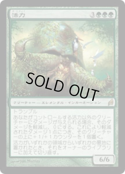 画像1: 【JPN/LRW】活力/Vigor (1)