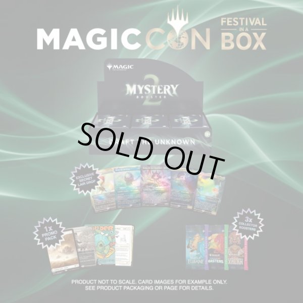 画像2: Festival in a Box: Las Vegas 2024＜振込限定＞