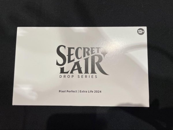 画像1: Pixel Perfect Extra Life 2024 (1)