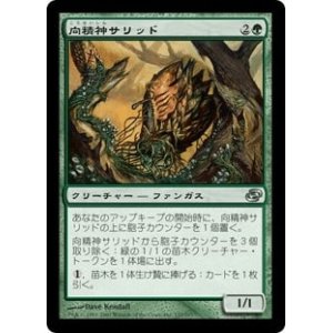 画像: 【JPN/PLC】向精神サリッド/Psychotrope Thallid