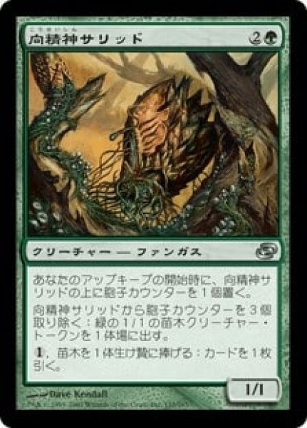 画像1: 【JPN/PLC】向精神サリッド/Psychotrope Thallid (1)