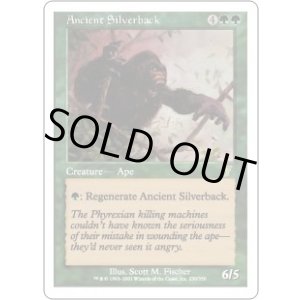 画像: 【JPN/7ED/FOIL★】年経たシルバーバック/Ancient Silverback