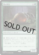 画像: 【JPN/FDN】漁る軟泥/Scavenging Ooze  [緑] 『R』