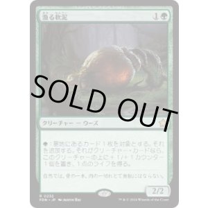 画像: 【JPN/FDN】漁る軟泥/Scavenging Ooze  [緑] 『R』